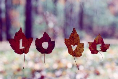 Lovely Poems - Fall themed