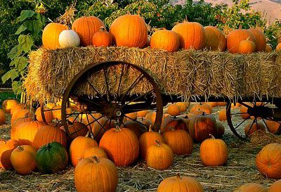 Some things about Pumpkins